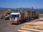 Scania R144G 460 6x4 Timber Truck 1995 года (ZA)